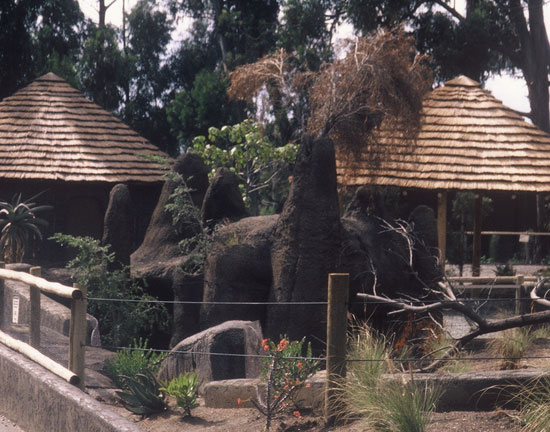 african village and anthill