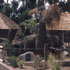 african savanna village and anthill
